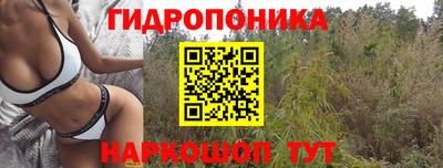 прущая мука Гусиноозёрск