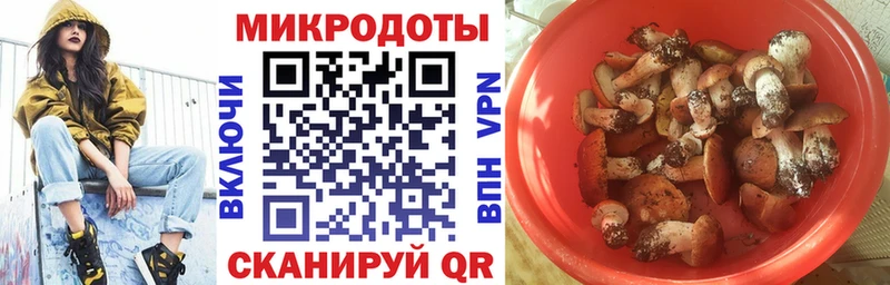 сайты даркнета клад  Гудермес  MEGA маркетплейс  Псилоцибиновые грибы мицелий  как найти закладки 
