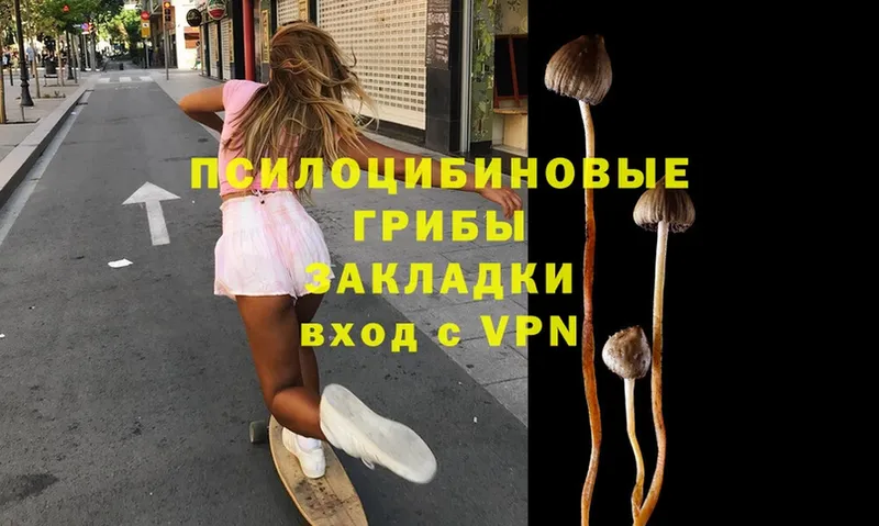 гидра как войти  продажа наркотиков  Гудермес  Псилоцибиновые грибы MAGIC MUSHROOMS 