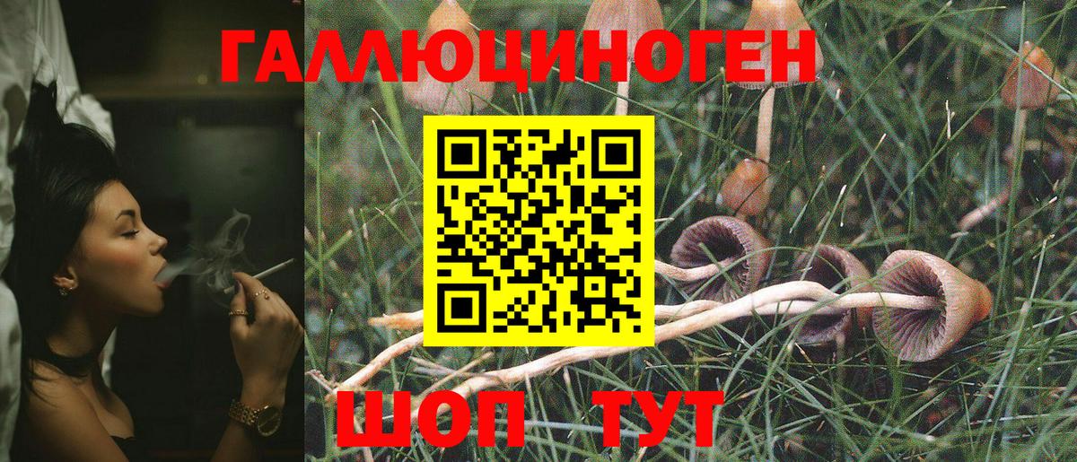 Гудермес  Галлюциногенные грибы MAGIC MUSHROOMS  Вход с VPN  Псилоцибиновые грибы мицелий 