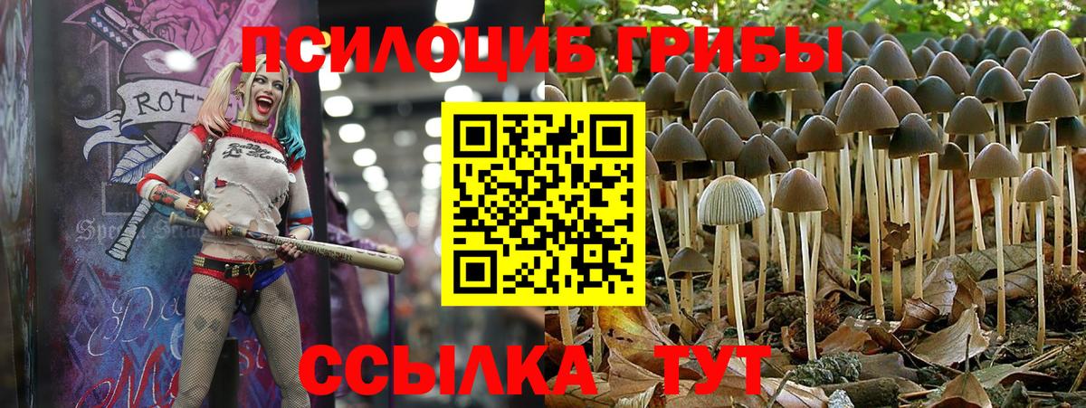 Экстази  Alpha-PVP СОЛЬ   Меф МЯУ МЯУ   Вход с VPN  МДМА  Конопля  Гудермес  ГАШИШ  МАРИХУАНА 
