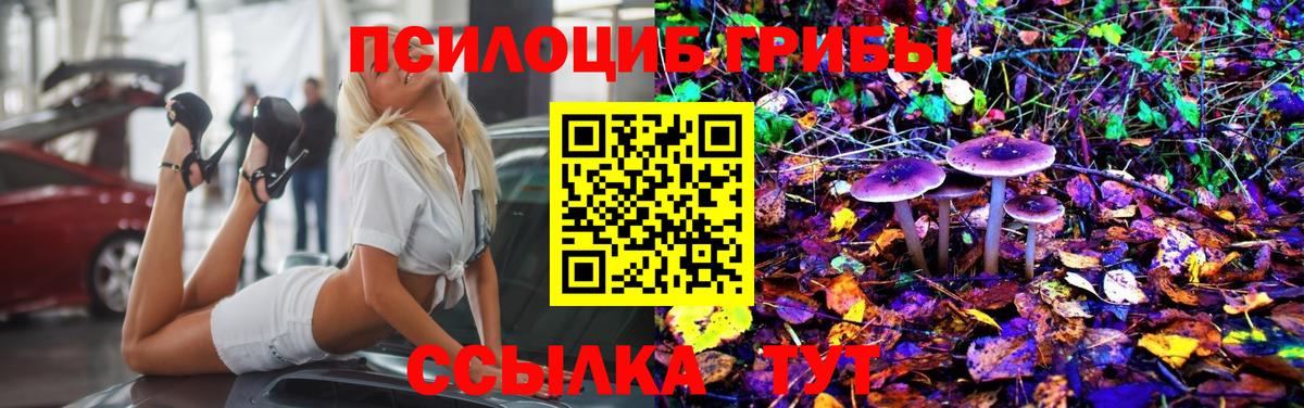 Галлюциногенные грибы мицелий Гудермес
